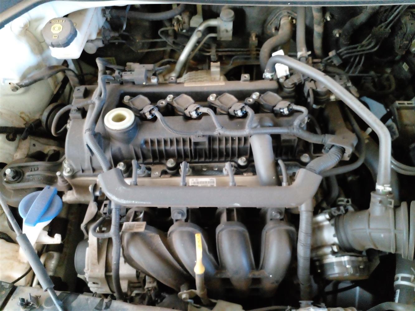 Auction Nation KIA 2020 KIA RIO 1.2 5DR