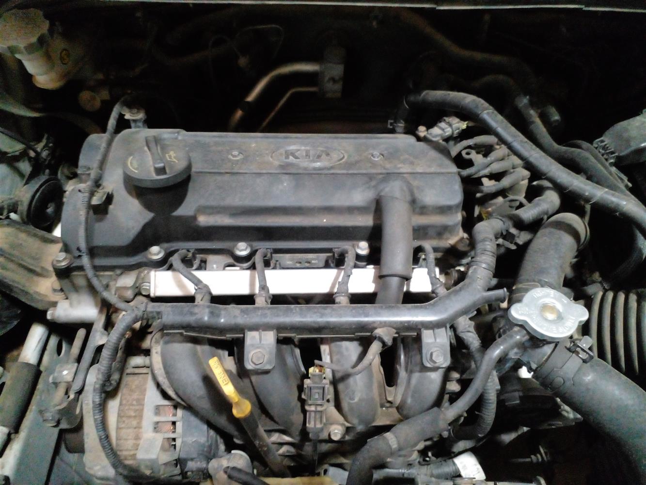 Auction Nation KIA RIO