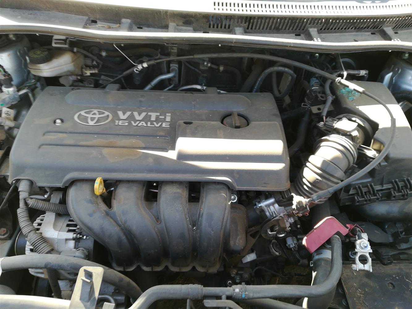 Auction Nation TOYOTA COROLLA