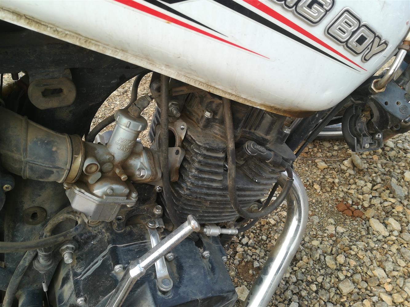 Auction Nation BIG BOY 150