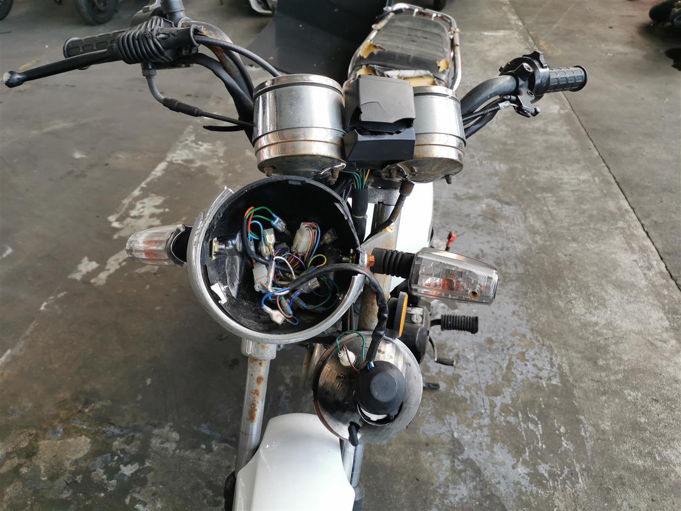 Auction Nation BIG BOY CGL CCL VELOCITY 150