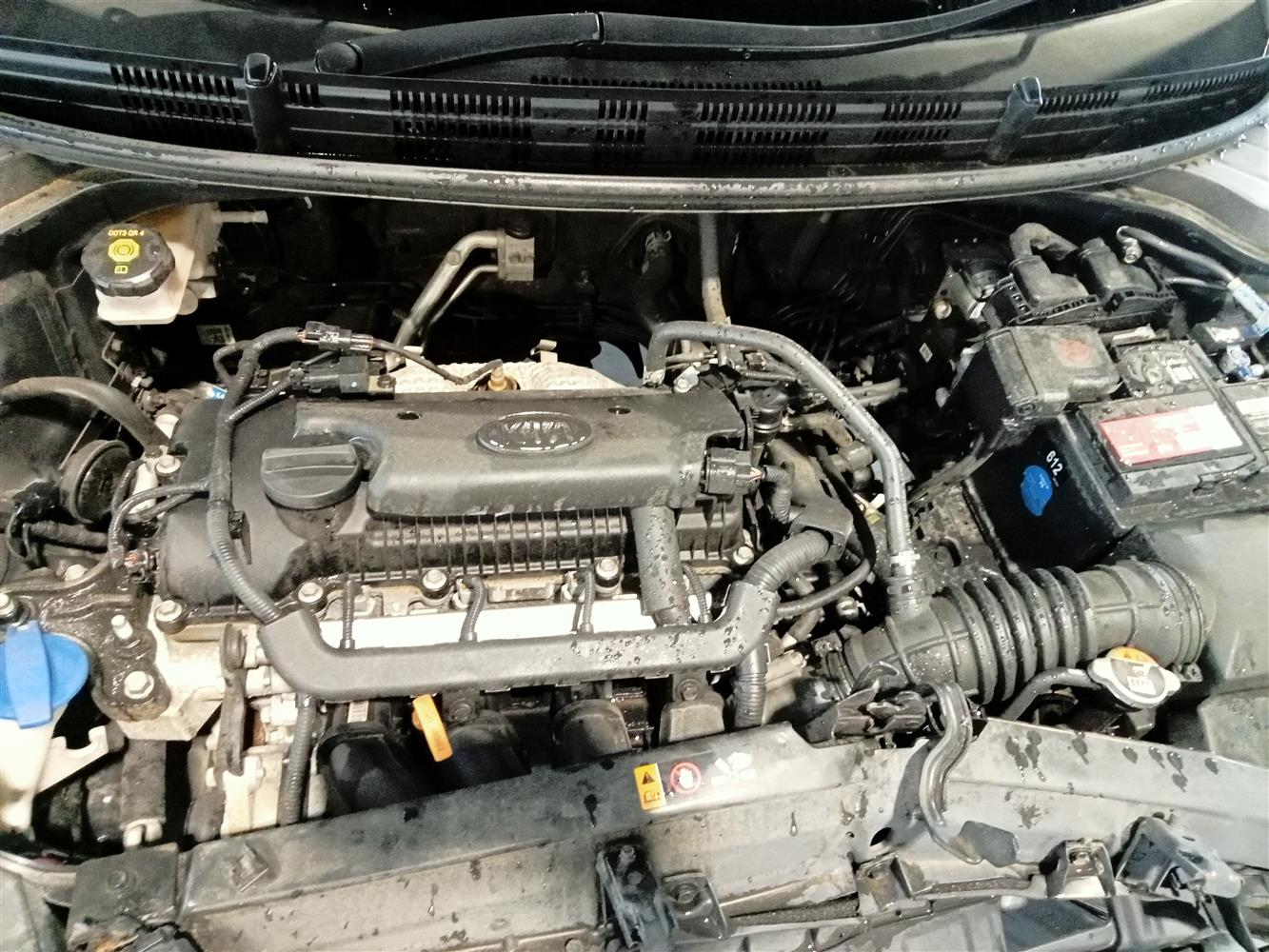 Auction Nation - KIA RIO 1.4 TEC A/T 5DR