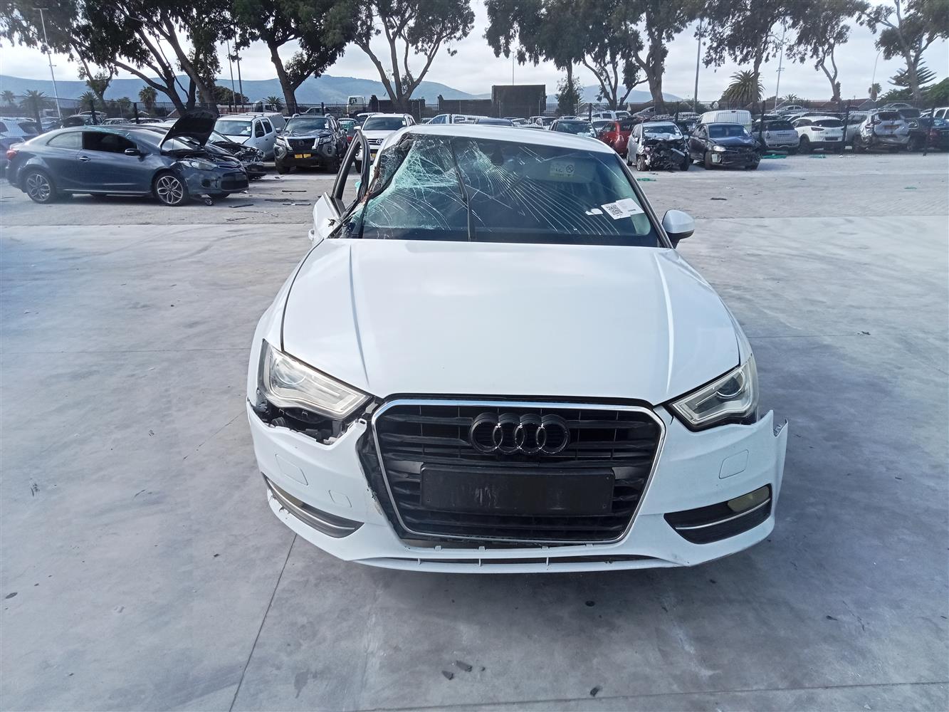 Atudi R37 Auction Nation - AUDI AU 37X-A3