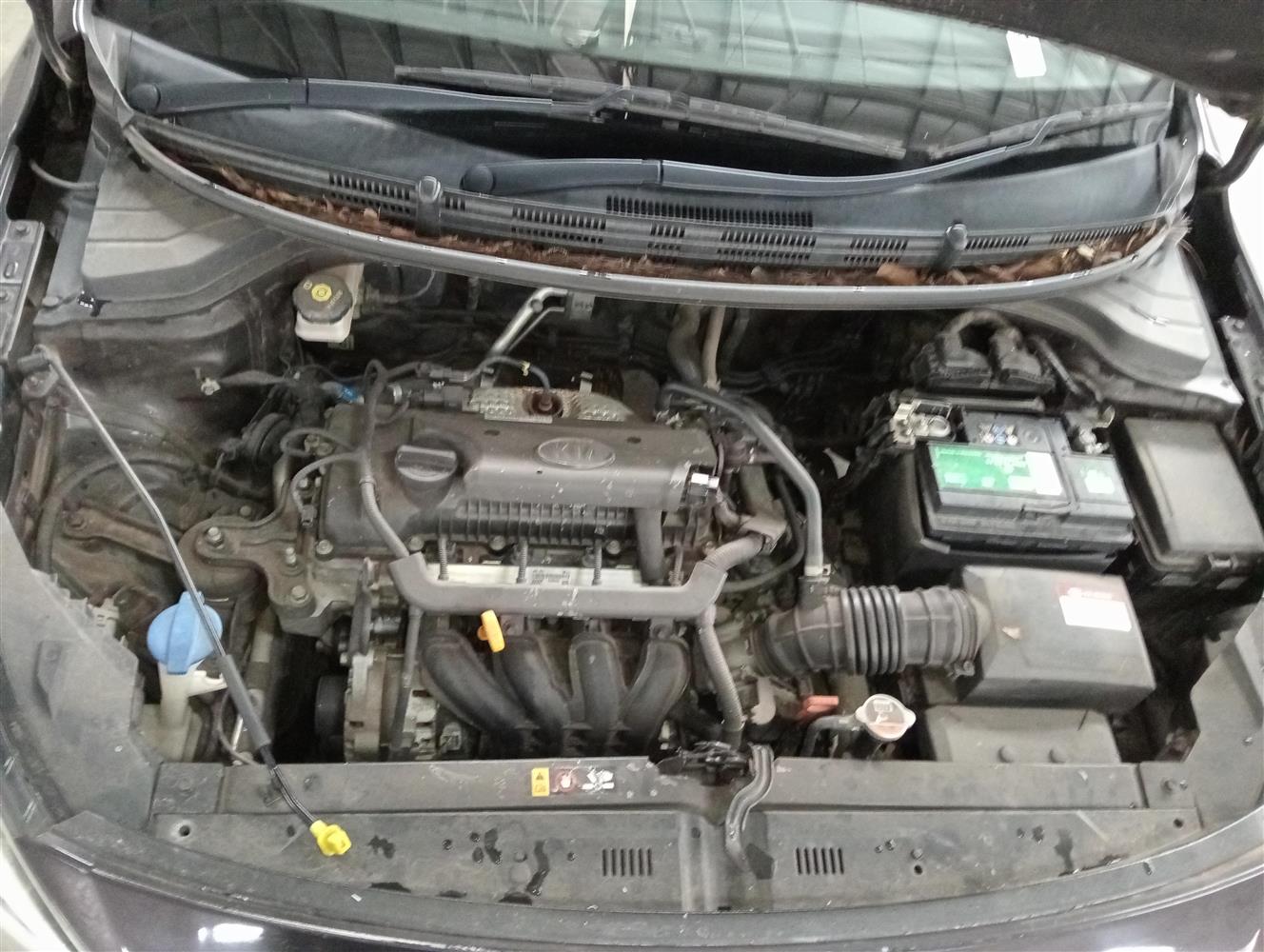 Auction Nation - KIA RIO 1.4 EX A/T 5DR
